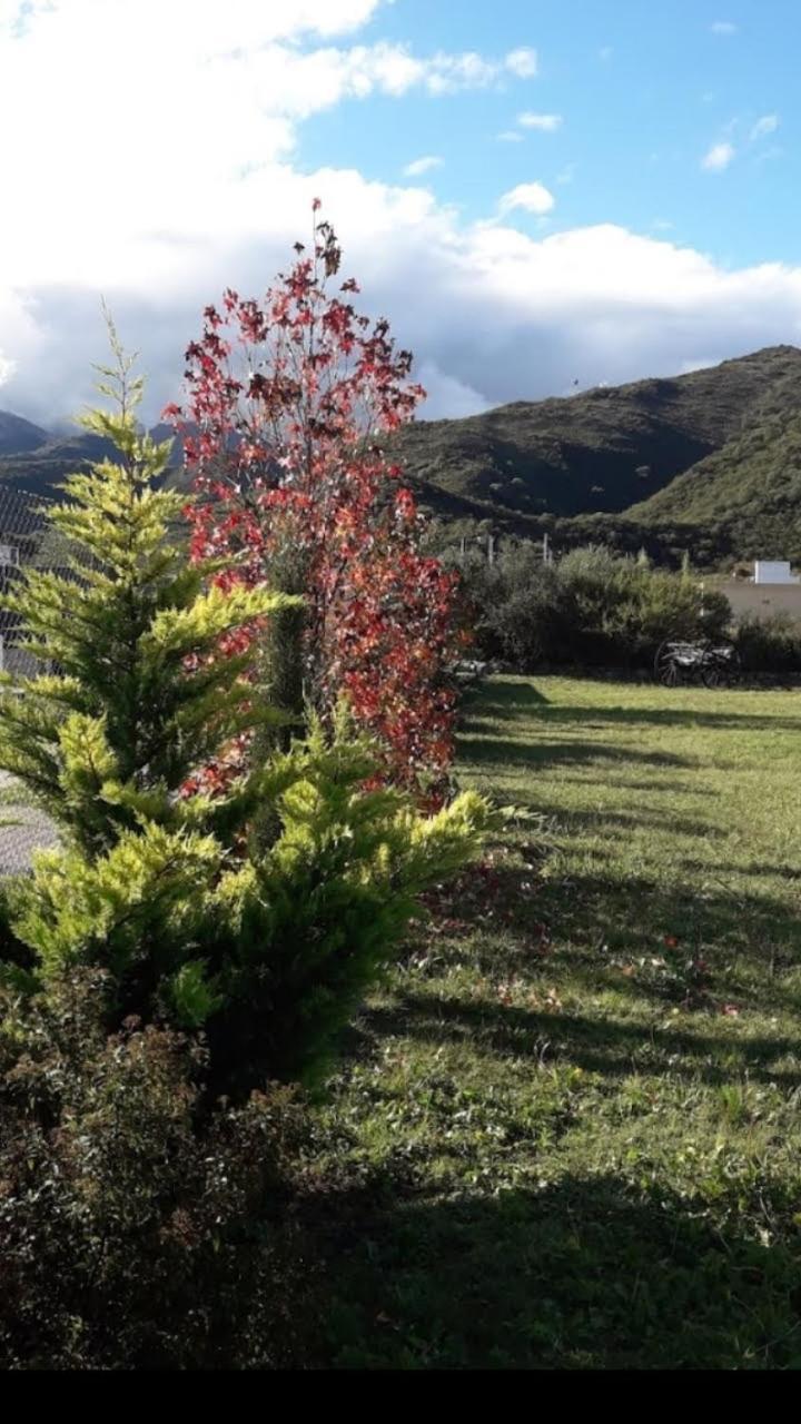 Loft Las Acacias 波特雷罗德洛斯弗内斯 外观 照片